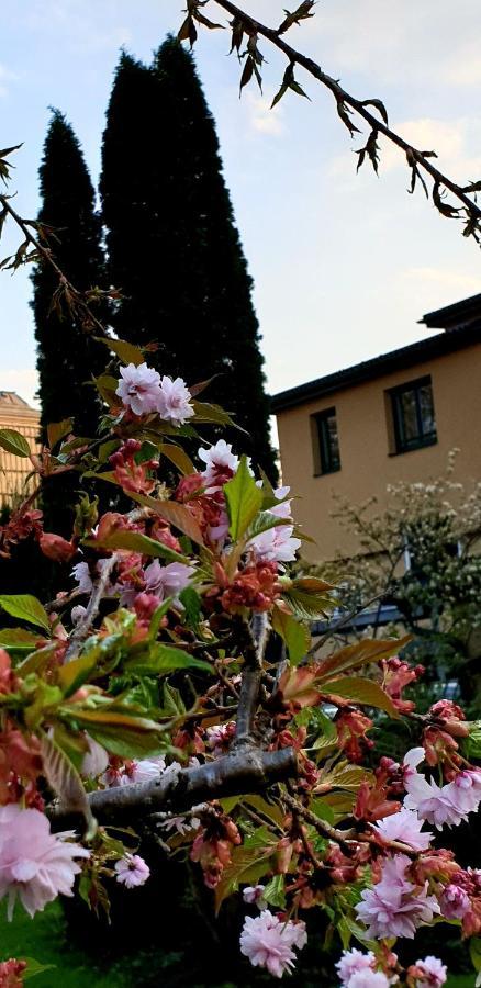 זלצבורג Hotel Via Roma מראה חיצוני תמונה